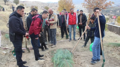 11 Kasım Ağaçlandırma Gününde binlerce fidan toprakla buluştu