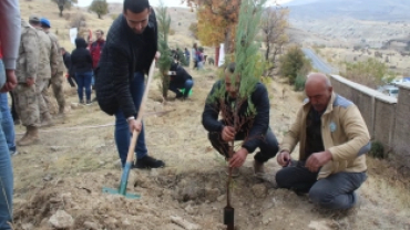 11 Kasım Ağaçlandırma Gününde binlerce fidan toprakla buluştu