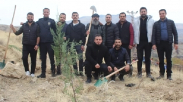 11 Kasım Ağaçlandırma Gününde binlerce fidan toprakla buluştu