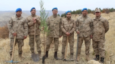 11 Kasım Ağaçlandırma Gününde binlerce fidan toprakla buluştu