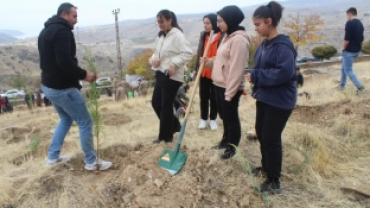 11 Kasım Ağaçlandırma Gününde binlerce fidan toprakla buluştu